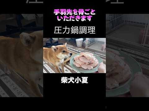 手羽先を骨ごと頂く圧力調理 サムネイル
