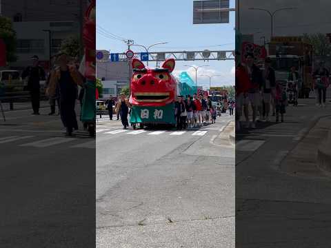 shorts 酒田大獅子日和　獅子パックン　酒田まつり