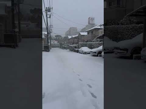 shorts 成田市の積雪　2026年2月8日 サムネイル