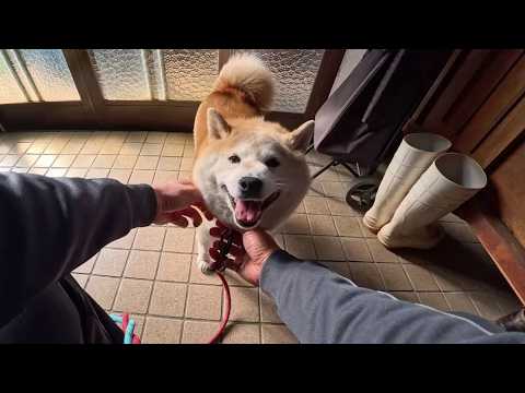 ニコニコモモさんと玄関からの帰宅