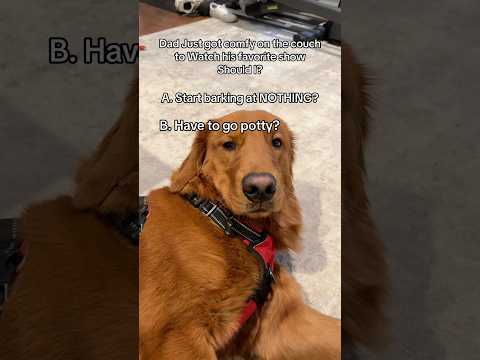 This happens every time without fail🙄 😂 サムネイル