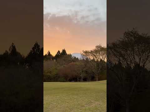 shorts サーモンピンクの空にちょびっと富士山🗻　足柄SA上り線にて　2026年4月5日