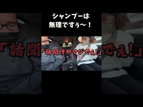 シャンプーは無理ですぅ サムネイル