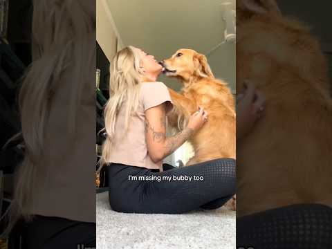 coming home to my golden retriever🥵 goldenretreiver dog ind… サムネイル