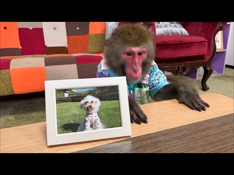 忘れないでね サムネイル