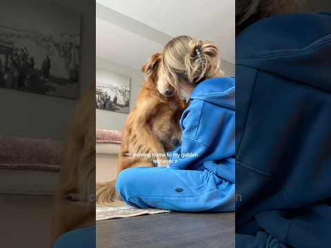 4K TRANSPERANT | TRYON_HUAL BIKINIS👙COLOR🥵#india #tryonhaul… サムネイル