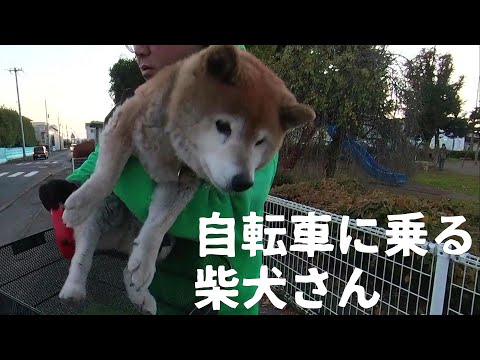【1068】まだまだ自転車に乗れるのです！ サムネイル