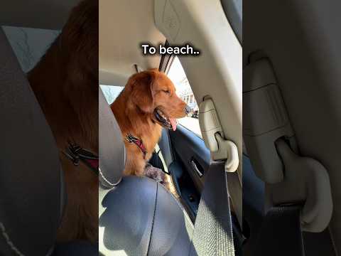 Just a beach boy.. サムネイル