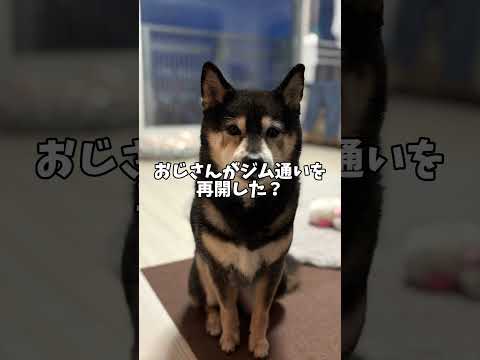 名探偵黒柴あずきパイセン登場？ サムネイル