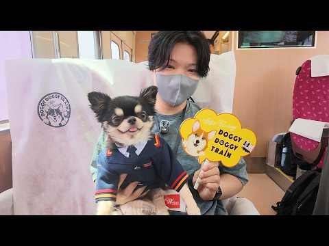 【ケージレス列車】　愛犬と一緒に乗れる夢の列車で旅してきました✨