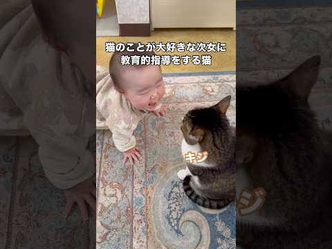 人よりも躾が巧みな猫。普段は泣かない娘だけどめっちゃ遅れて泣き出した😅 保護猫 地域猫 赤ちゃん shorts