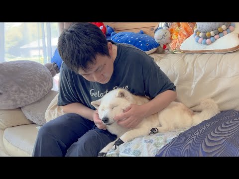 【期間限定動画】かけがえのない大切な柴犬と過ごす今の自分から5年後の自分へ。 サムネイル