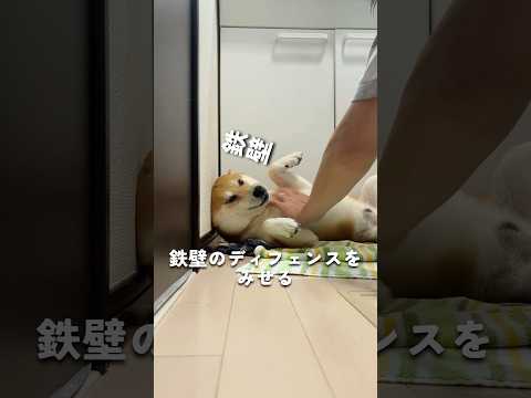 濡れ５分、乾かし３０分