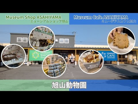【旭山動物園】ミュージアムショップ 旭山✨ミュージアムカフェ旭山☕[Asahiyama Zoo] Museum Sho…