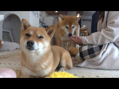 え！？病院へ行ったママのまさかの診断結果が… サムネイル