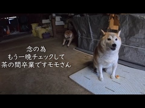 2025年12月24日(水) うれしいお知らせ🎅 サムネイル