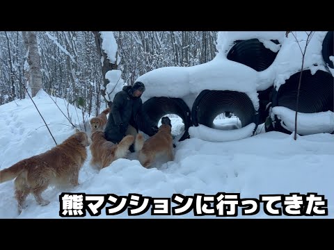 大雪の森の奥にある「熊マンション」へ犬たちと行ってみた サムネイル