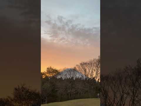 shorts 富士山🗻オレンジに染まりながら　足柄SA上り線にて　2026年4月5日