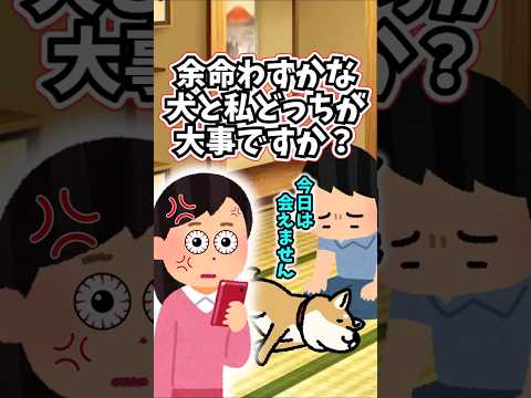 余命わずかな19年一緒だった犬と、恋人との記念日‥どっちが大事でしょうか？　 【2ch修羅場スレ】 2ch  感動する… サムネイル