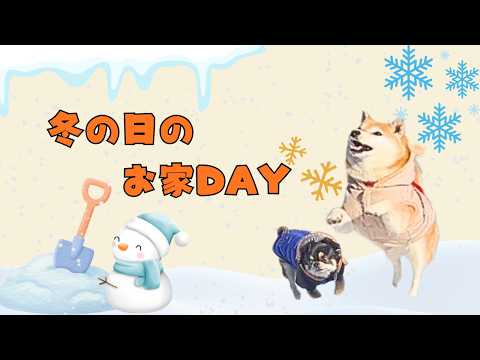 雪の日のお家DAY♪ サムネイル