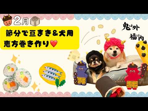 節分で豆まき＆犬用恵方巻き作り❤ サムネイル