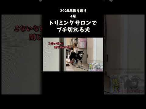 2025年振り返り 4月 サムネイル