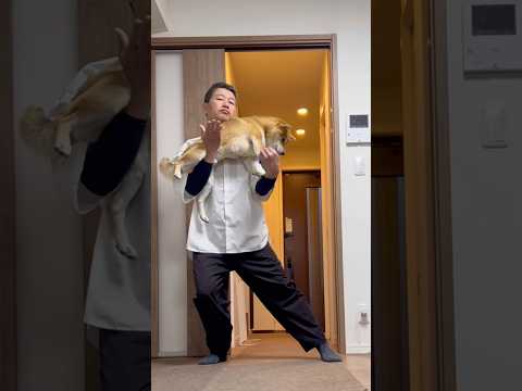 柴犬とん君と流行りのダンスを踊ってみた　柴犬　柴犬とん サムネイル