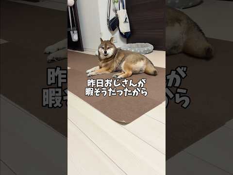 これから流行る？魅惑の胡麻柴ダンス💃 サムネイル