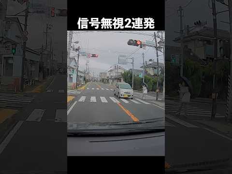 衝撃！信号無視２連発 歩行者危機一髪！ ドラレコ