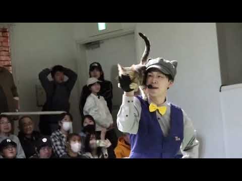 4か月ぶりのお兄さんMC‼️なかなか見れない猫によるショー ザ・キャッツ　午前の部　那須どうぶつ王国にて　2026年4… サムネイル