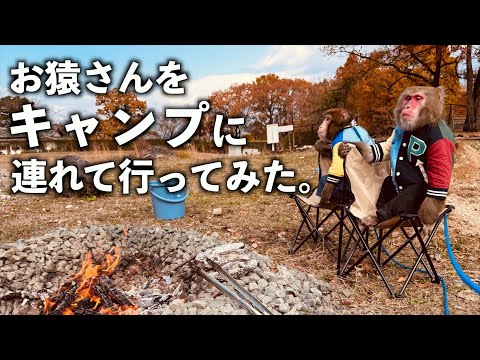 一緒に火を起こし、料理の手伝いも…キャンプを楽しむうちの猿かわいすぎん？ サムネイル