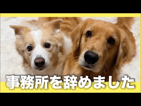 事務所を辞めました🙇少しだけお知らせです!! サムネイル