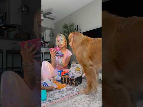 coming home to my golden retriever🥵goldenretreivers dog pup… サムネイル