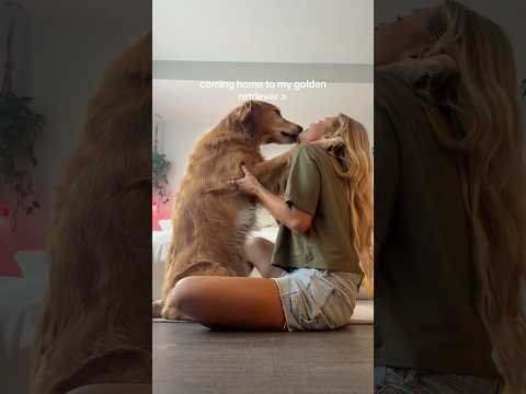 Bedazzling my goldenretriever🔥goldenretriever food ootd asm…
