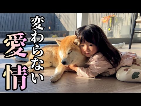 １年ぶりの家族旅行。ふとした時に見せる兄柴への変わらない愛情表現 サムネイル