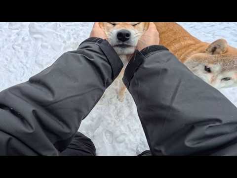 2026年3月11日(水) フワフワの秘密は サムネイル