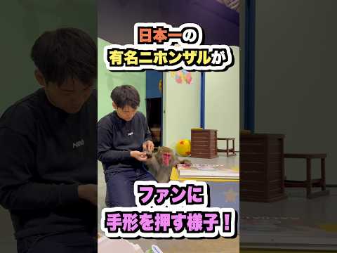 日本で最も有名なニホンザルのサイン会 サムネイル