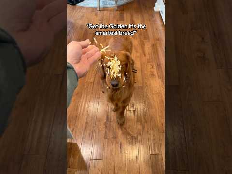 Is mine defective? サムネイル