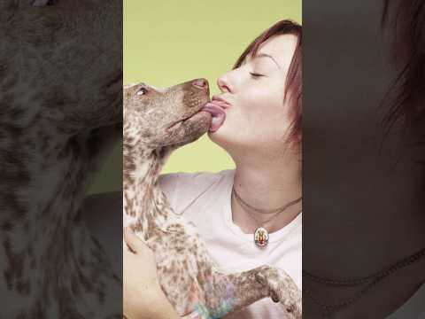 What It Really Means When Your Dog Licks You shorts dog pet… サムネイル