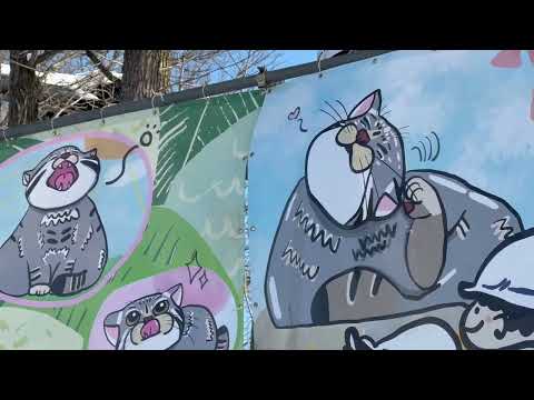 新しく設置された幕　グルーシャ邸工事現場　旭山動物園にて　2025年12月19日 サムネイル