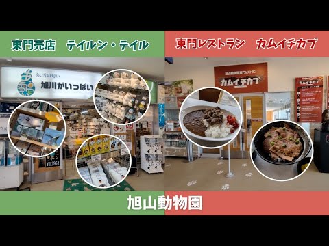 【旭山動物園】東門売店テイルンテイル🎁東門レストランカムイチカプ🍴 サムネイル