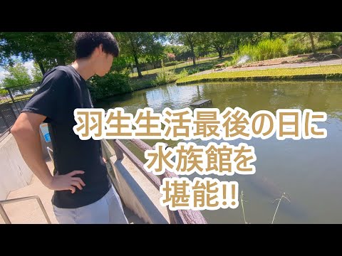 羽生生活最後の日に水族館に行く。ゴールデンレトリバーティト サムネイル