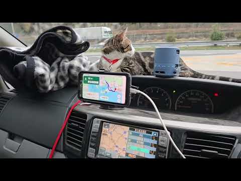 ドッグショー会場へ向かうトン君、ビス、イロハ、キビ。 サムネイル