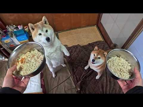 晩ごはんの登場に沸き立つフロア サムネイル