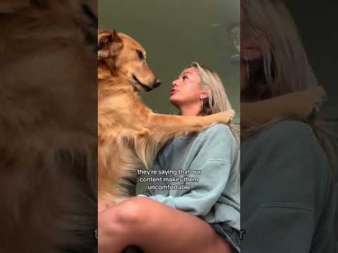 coming home to my golden retriever🥵 goldenretreiver dog ind… サムネイル