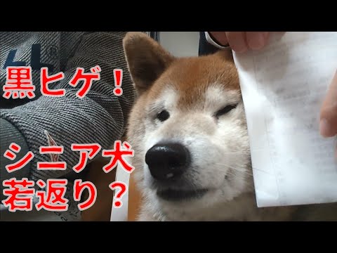 【1063】黒ひげ復活？ サムネイル