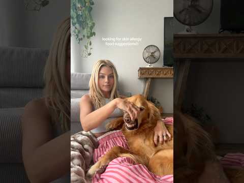 coming home to my golden retriever🥵 goldenretreiver dog ind…