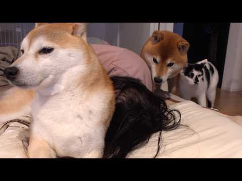 楽しいはずのお泊まり会で、思ってもない出来事が… サムネイル