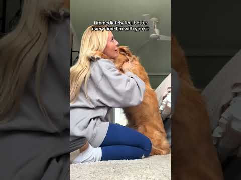 coming home to my golden retriever❤️india retreiver dog pup… サムネイル