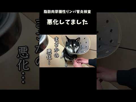 悪化してました サムネイル